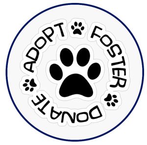 Buddy-Friends-Animal-Rescue-adopt